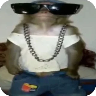 Video sticker 🫥 𝓰𝓪𝔂𝓮𝓵 @luxuosa