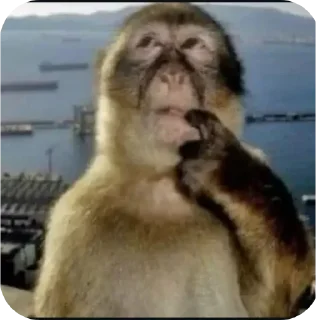 Telegram sticker 🖼 𝓰𝓪𝔂𝓮𝓵 @luxuosa