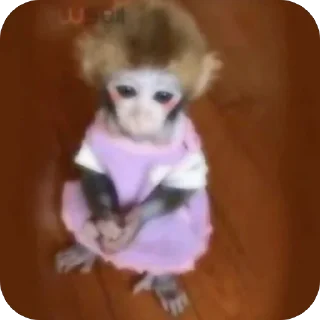 Video sticker 🫥 𝓰𝓪𝔂𝓮𝓵 @luxuosa