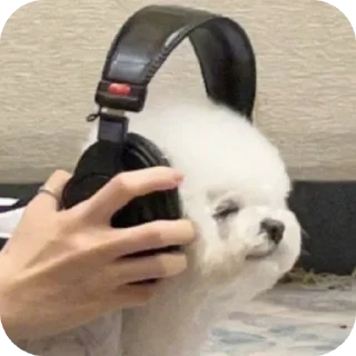 Video sticker ✋ Cute12