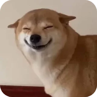 Telegram sticker 🐶 Cute12