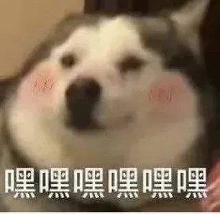 Telegram sticker 😘 ying_专属