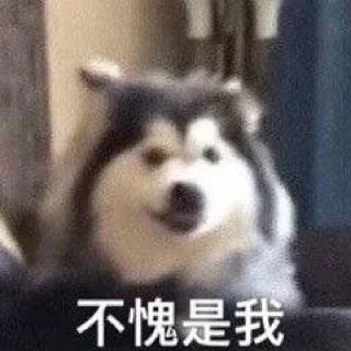 Telegram sticker 😚 ying_专属
