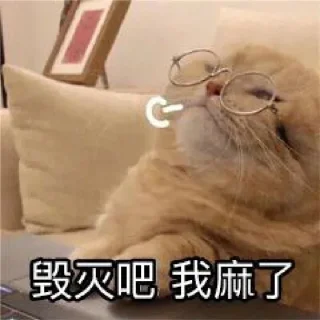 Telegram sticker 😞 ying_专属