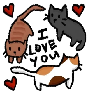 Video sticker 💘 Больше стиков тут: @stikery4
