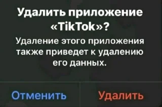 Video sticker 🤩 Фотки из тт @ff_fantik_kk @TgEmodziBot