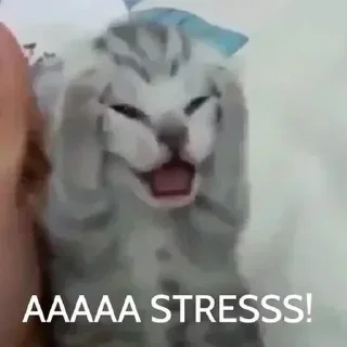 Telegram sticker 😱 @LevYashinnnn