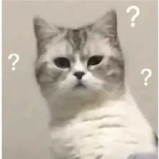 Telegram sticker 🤨 @LevYashinnnn