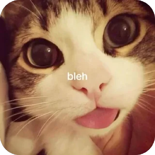 Telegram sticker 🫥 @kloobie
