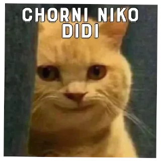 Video sticker 😸 Satoru's Pack : @Toga_Robot (@Toga_Robot)