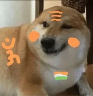 Telegram sticker 🌟 Ghoorta doge