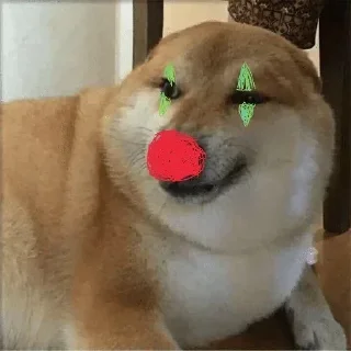 Telegram sticker 🌟 Ghoorta doge