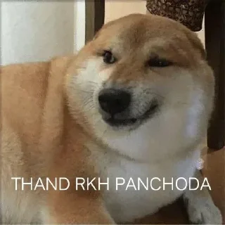 Telegram sticker 🌟 Ghoorta doge