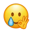 Video sticker 👌 mad @emojique