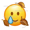 Video sticker 🥲 mad @emojique