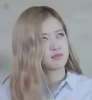 Telegram sticker 🙄 @Blackpink