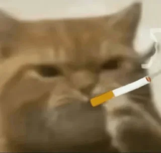 Telegram sticker 😗 Random @herr_soull