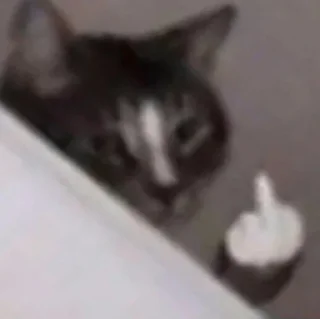 Video sticker 🖕 Random @herr_soull