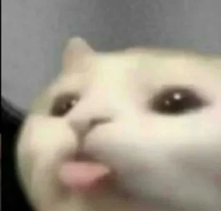 Video sticker 👅 Random @herr_soull