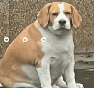 Telegram sticker 😅 Random @herr_soull