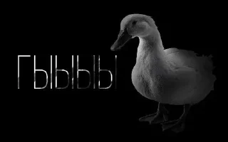 Video sticker 🌟 Больше стиков тут: @stikery4