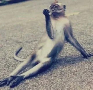 Telegram stiker 🌟 lavs :: @fStikBot