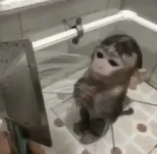 Telegram stiker 🌟 lavs :: @fStikBot