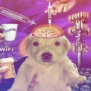 Video sticker 🌟 lavs :: @fStikBot