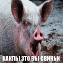 Telegram sticker 🇷🇺 Поросячья Боль