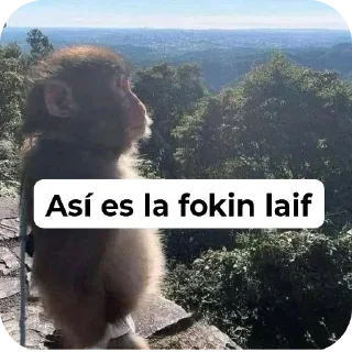 Video sticker ⛰ 777 :: @fStikBot