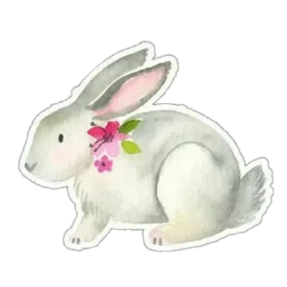 Video sticker 🌺 @wisdom_droplets A Animals — @stckrRobot