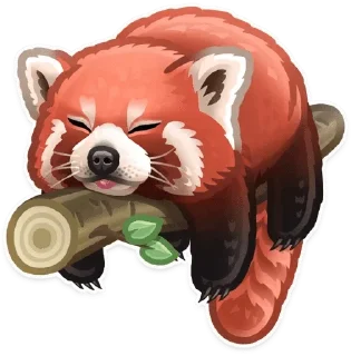 Video sticker 🐼 @wisdom_droplets A Animals — @stckrRobot