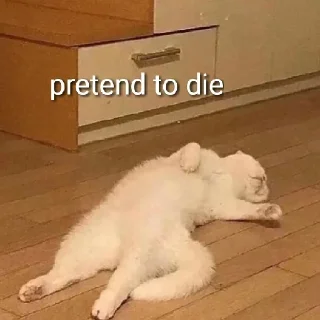 Video sticker 😬 @loveeeieeeee♡