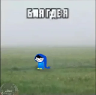 Video sticker 🤩 Хоумстак @EmojiRu_Bot
