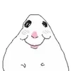 Video sticker 😃 hamster ➜ @emoji1