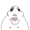 Video sticker 😌 hamster ➜ @emoji1