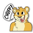 Video sticker 😺 PJ