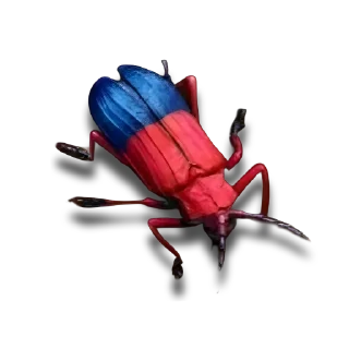 Telegram sticker 🍖 The Ants | Обучающий дом