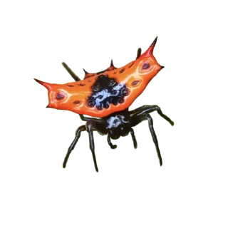 Telegram sticker 👍 The Ants | Обучающий дом
