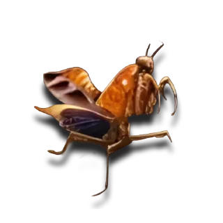 Telegram sticker 🐞 The Ants | Обучающий дом
