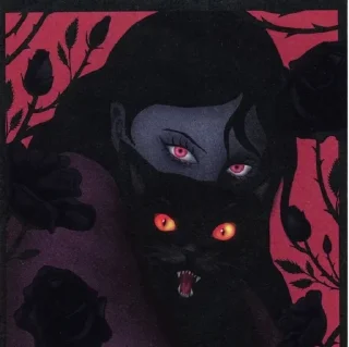 Телеграм стикер 🖤 set()