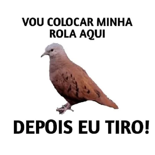 Telegram sticker 😎 Marcão | via @StickedApp_bot