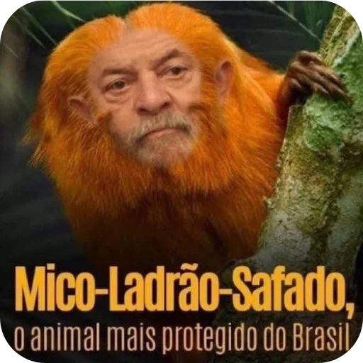 Telegram sticker 🤨 Marcão | via @StickedApp_bot