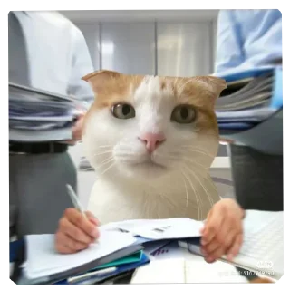 Telegram sticker 🐱 lily's meowniverse (@mesmmeric)