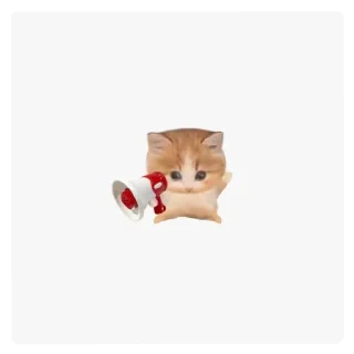 Telegram sticker 🐱 lily's meowniverse (@mesmmeric)