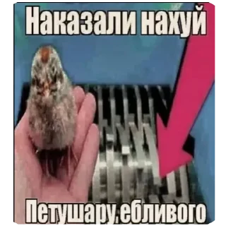 Video sticker 🖼 Бля клэр обскур