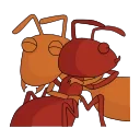 Telegram sticker 😊 The ants DNTworry