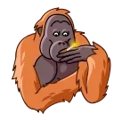 Telegram sticker 🙄 @notbruc :: @fStikBot