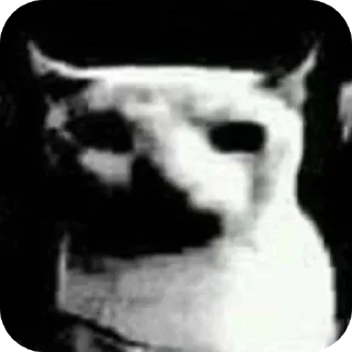 Video sticker 💀 Who owns this pack?