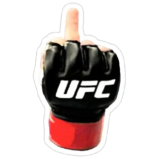 Video sticker 🖕 BEST of MMA